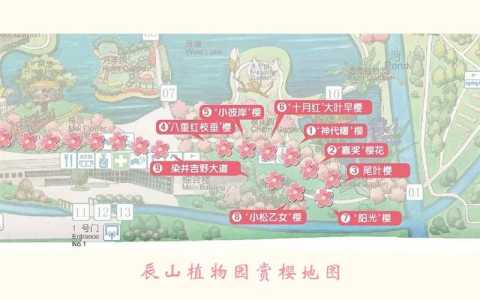 上海辰山植物园几月份去比较好,上海辰山植物园什么时候去 第1张 上海辰山植物园几月份去比较好,上海辰山植物园什么时候去 第1张
