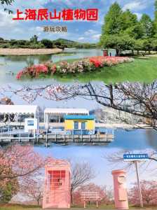 上海辰山植物园几月份去比较好,上海辰山植物园什么时候去 第4张 上海辰山植物园几月份去比较好,上海辰山植物园什么时候去 第4张