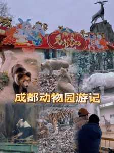 成都动物园门票多少钱,成都动物园门票多少钱里面有啥动物? 第1张 成都动物园门票多少钱,成都动物园门票多少钱里面有啥动物? 第1张