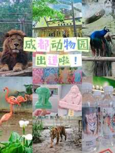 成都动物园门票多少钱,成都动物园门票多少钱里面有啥动物? 第5张 成都动物园门票多少钱,成都动物园门票多少钱里面有啥动物? 第5张