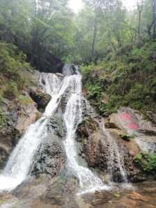 老君山和重渡沟哪个好,老君山好还是重渡沟好 第1张 老君山和重渡沟哪个好,老君山好还是重渡沟好 第1张