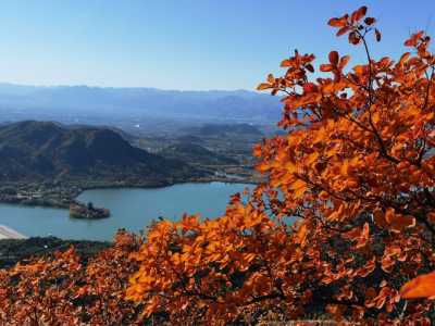 蟒山国家森林公园电话?蟒山国家森林公园电话询问? 第1张 蟒山国家森林公园电话?蟒山国家森林公园电话询问? 第1张