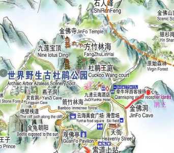 金佛山一日游详细攻略,重庆金佛山一日游详细攻略? 第3张 金佛山一日游详细攻略,重庆金佛山一日游详细攻略? 第3张