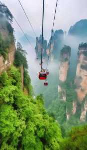 张家界旅游景点有几个,张家界旅游有哪些地方 第3张 张家界旅游景点有几个,张家界旅游有哪些地方 第3张
