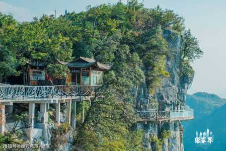 张家界旅游景点有几个,张家界旅游有哪些地方 第4张 张家界旅游景点有几个,张家界旅游有哪些地方 第4张