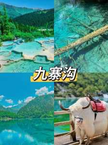 四川九寨沟风景区?四川九寨沟风景区图片? 第1张 四川九寨沟风景区?四川九寨沟风景区图片? 第1张