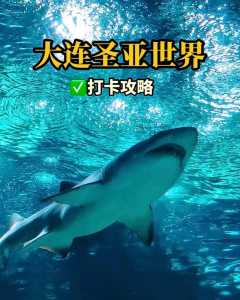 大连海洋馆门票费用,大连海洋馆门票费用多少? 第4张 大连海洋馆门票费用,大连海洋馆门票费用多少? 第4张