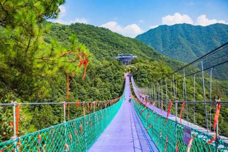 杭州西溪湿地好玩吗,杭州景点西溪湿地 第5张 杭州西溪湿地好玩吗,杭州景点西溪湿地 第5张