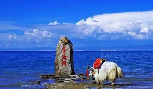青海最值得去的几个景点,青海值得旅游的地方? 第1张 青海最值得去的几个景点,青海值得旅游的地方? 第1张