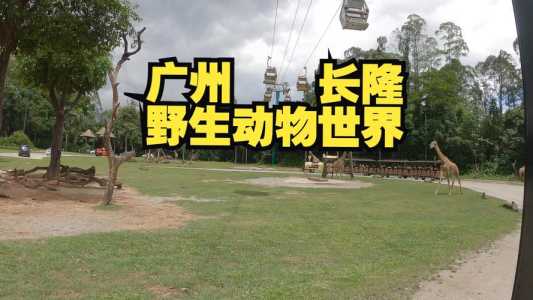 番禺野生动物园门票团购?番禺野生动物园门票多少? 第1张 番禺野生动物园门票团购?番禺野生动物园门票多少? 第1张