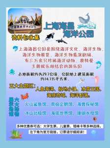 上海海昌海洋公园游玩攻略,上海海昌海洋公园游玩攻略及时间表2022? 第5张 上海海昌海洋公园游玩攻略,上海海昌海洋公园游玩攻略及时间表2022? 第5张