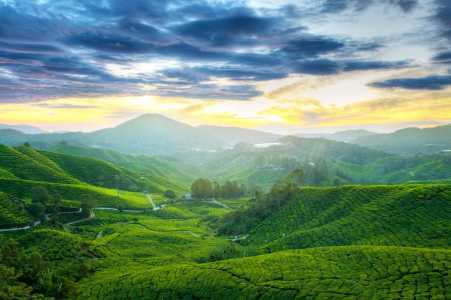 莫干山必去八个景点?莫干山必去八个景点简笔画图片? 第3张 莫干山必去八个景点?莫干山必去八个景点简笔画图片? 第3张