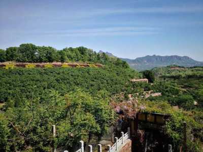 河北省前十旅游景点排名榜?河北前十旅游景区? 第1张 河北省前十旅游景点排名榜?河北前十旅游景区? 第1张