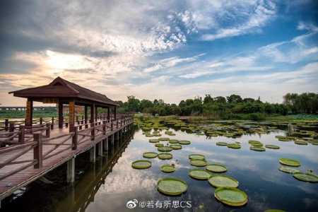 苏州乐园森林水世界,苏州乐园森林水世界游玩攻略? 第2张 苏州乐园森林水世界,苏州乐园森林水世界游玩攻略? 第2张