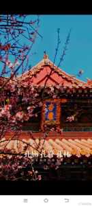 济宁旅游景点哪里好玩,济宁地区旅游景点 第3张 济宁旅游景点哪里好玩,济宁地区旅游景点 第3张