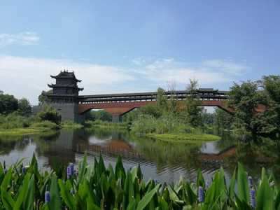 浙江丽水旅游景点大全,丽水最值得去的三个景点 第1张 浙江丽水旅游景点大全,丽水最值得去的三个景点 第1张