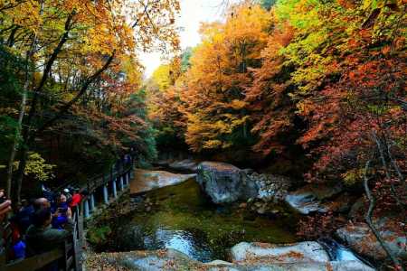 巴中光雾山旅游攻略?巴中光雾山旅游攻略地图? 第3张 巴中光雾山旅游攻略?巴中光雾山旅游攻略地图? 第3张