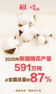新疆棉花质量好?新疆棉花质量好的主要原因? 第5张 新疆棉花质量好?新疆棉花质量好的主要原因? 第5张