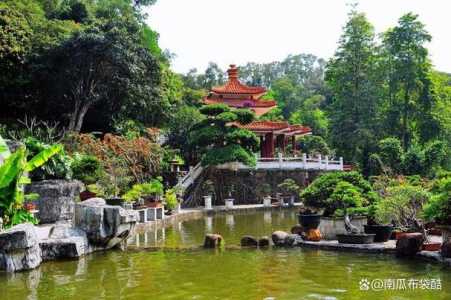 深圳旅游景点哪里好玩,深圳旅游景点哪里好玩一日游 第3张 深圳旅游景点哪里好玩,深圳旅游景点哪里好玩一日游 第3张
