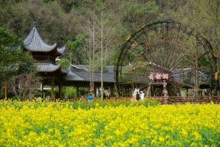 湖南旅游必去景点推荐?湖南旅游必去景点推荐图片? 第2张 湖南旅游必去景点推荐?湖南旅游必去景点推荐图片? 第2张