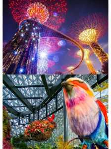 新加坡旅游一周多少钱,新加坡旅游一星期需要多少钱 第1张 新加坡旅游一周多少钱,新加坡旅游一星期需要多少钱 第1张