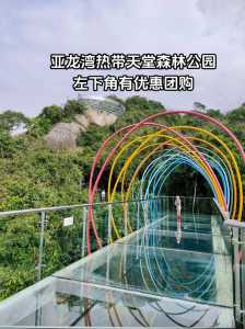 亚龙湾热带天堂森林公园介绍,亚龙湾热带天堂森林公园玩多久 第2张 亚龙湾热带天堂森林公园介绍,亚龙湾热带天堂森林公园玩多久 第2张