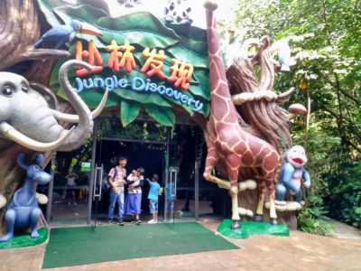 深圳野生动物园怎么样,深圳野生动物园怎么样好玩吗 第1张 深圳野生动物园怎么样,深圳野生动物园怎么样好玩吗 第1张