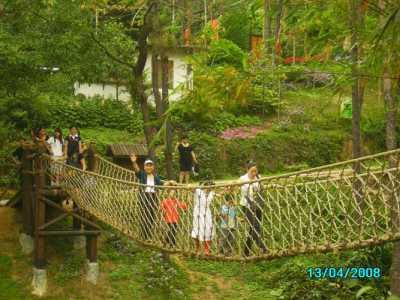 深圳青青世界游玩攻略?深圳青青世界在哪里? 第1张 深圳青青世界游玩攻略?深圳青青世界在哪里? 第1张