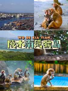 海南自驾游攻略最详细?海南自驾游小众攻略? 第3张 海南自驾游攻略最详细?海南自驾游小众攻略? 第3张
