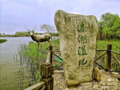 溱湖国家湿地公园?泰州溱湖国家湿地公园? 第3张 溱湖国家湿地公园?泰州溱湖国家湿地公园? 第3张