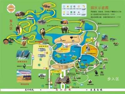 关于上海野生动物园门票多少钱的信息 第3张 关于上海野生动物园门票多少钱的信息 第3张