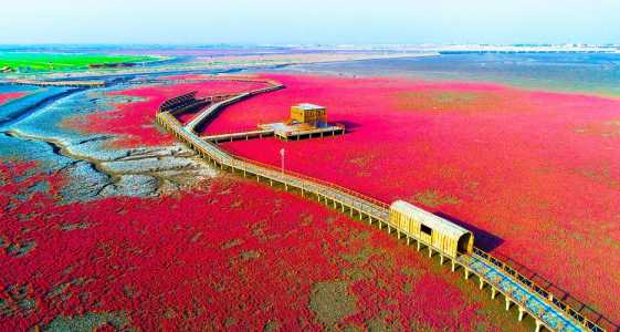 盘锦红海滩门票2021,盘锦红海滩门票2024高考考生 第6张 盘锦红海滩门票2021,盘锦红海滩门票2024高考考生 第6张