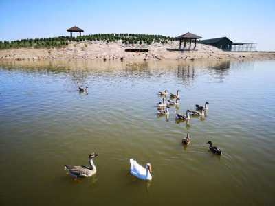 沧州景点大全一日游旅游攻略?沧州旅游攻略 必玩的景点? 第5张 沧州景点大全一日游旅游攻略?沧州旅游攻略 必玩的景点? 第5张