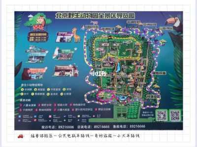 大兴野生动物园游玩攻略,野生动物园60岁以上有优惠吗? 第1张 大兴野生动物园游玩攻略,野生动物园60岁以上有优惠吗? 第1张