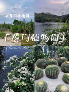 厦门植物园攻略,厦门植物园攻略介绍? 第3张 厦门植物园攻略,厦门植物园攻略介绍? 第3张