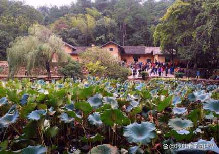 韶山旅游攻略景点必去?韶山旅游景点大全? 第4张 韶山旅游攻略景点必去?韶山旅游景点大全? 第4张