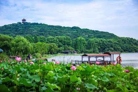 无锡鼋头渚旅游攻略?无锡鼋头渚旅游攻略手抄报? 第3张 无锡鼋头渚旅游攻略?无锡鼋头渚旅游攻略手抄报? 第3张