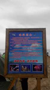 北戴河农家院包吃住,北戴河农家院包吃住费用了解? 第6张 北戴河农家院包吃住,北戴河农家院包吃住费用了解? 第6张