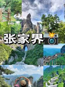 张家界好玩吗值得去吗,张家界好玩吗值得去吗现在? 第1张 张家界好玩吗值得去吗,张家界好玩吗值得去吗现在? 第1张