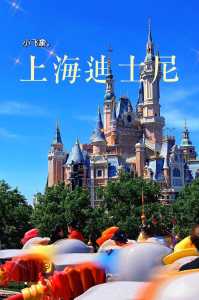 去上海迪士尼玩的最佳攻略?去上海迪士尼玩的最佳攻略2021? 第5张 去上海迪士尼玩的最佳攻略?去上海迪士尼玩的最佳攻略2021? 第5张
