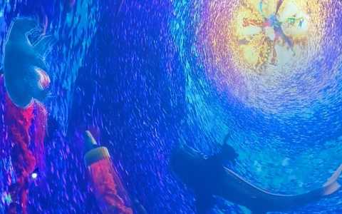 天津海昌极地海洋世界门票团购,天津海昌极地海洋世界门票预约 第3张 天津海昌极地海洋世界门票团购,天津海昌极地海洋世界门票预约 第3张