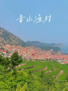 青岛崂山仰口一日游?青岛崂山仰口一日游最佳方案? 第2张 青岛崂山仰口一日游?青岛崂山仰口一日游最佳方案? 第2张