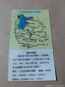 深圳仙湖植物园,深圳仙湖植物园停车场预约 第2张 深圳仙湖植物园,深圳仙湖植物园停车场预约 第2张