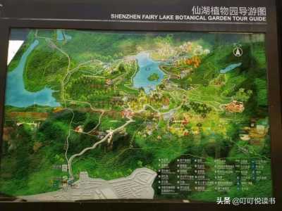 深圳仙湖植物园,深圳仙湖植物园停车场预约 第5张 深圳仙湖植物园,深圳仙湖植物园停车场预约 第5张