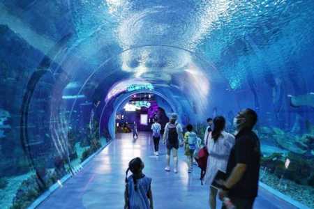曲江海洋馆门票?曲江海洋馆门票699元双人票? 第1张 曲江海洋馆门票?曲江海洋馆门票699元双人票? 第1张