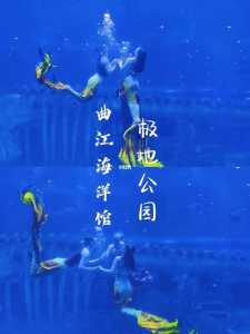 曲江海洋馆门票?曲江海洋馆门票699元双人票? 第4张 曲江海洋馆门票?曲江海洋馆门票699元双人票? 第4张