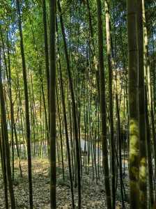 附近景点旅游景点免费,附近景点旅游景点免费 风景区西秀海滩 第1张 附近景点旅游景点免费,附近景点旅游景点免费 风景区西秀海滩 第1张