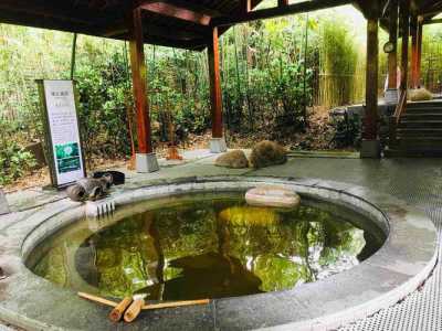 天目湖御水温泉?天目湖御水温泉门票多少钱? 第1张 天目湖御水温泉?天目湖御水温泉门票多少钱? 第1张