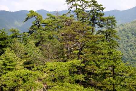 石门山国家森林公园?石门山国家森林公园门票? 第1张 石门山国家森林公园?石门山国家森林公园门票? 第1张