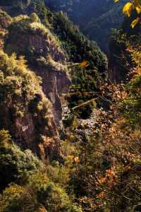 楠溪江风景区门票,楠溪江风景区门票优惠政策最新 第1张 楠溪江风景区门票,楠溪江风景区门票优惠政策最新 第1张